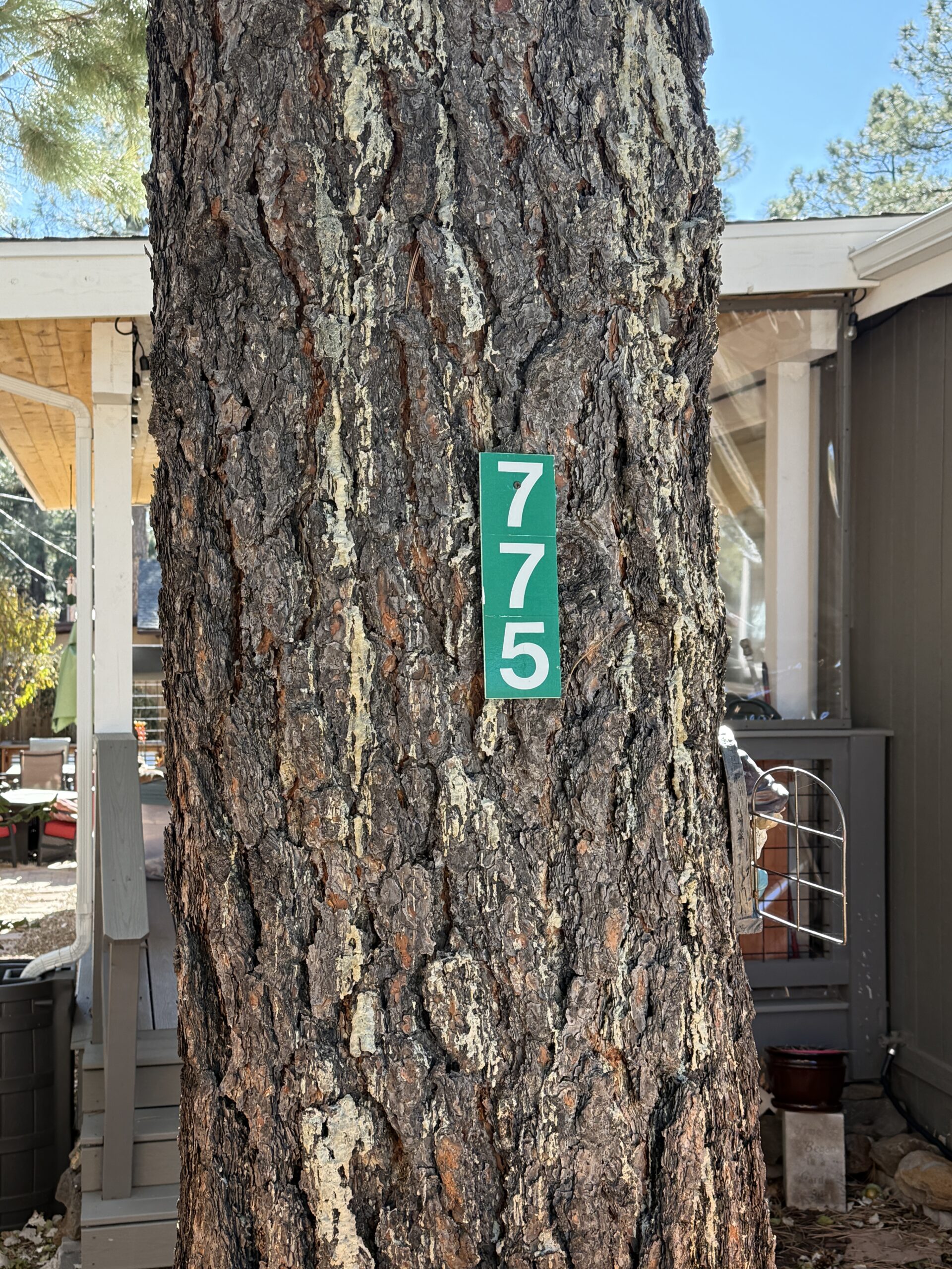 reflective address numbers